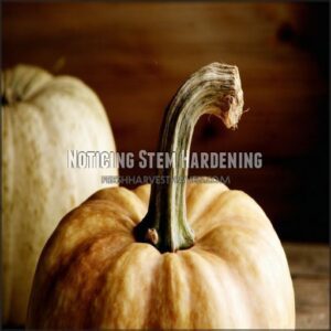 Noticing Stem Hardening