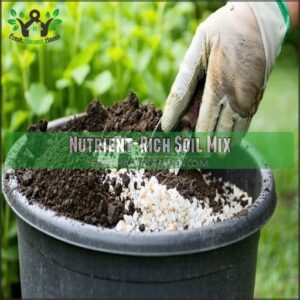 Nutrient-Rich Soil Mix