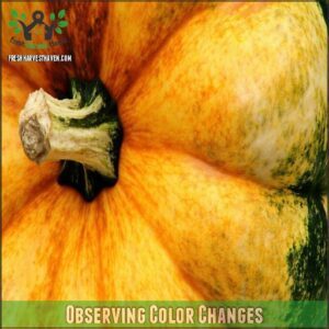 Observing Color Changes