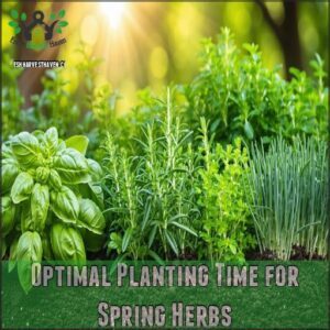 Optimal Planting Time for Spring Herbs