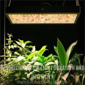 Optimizing Grow Light Duration and Intensity