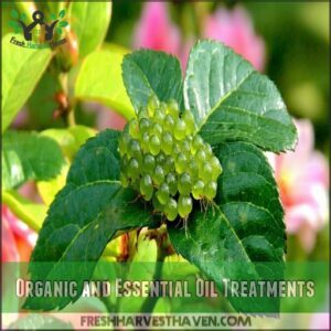 Organic and Essential Oil Treatments