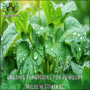 Organic Fungicides for Powdery Mildew Control