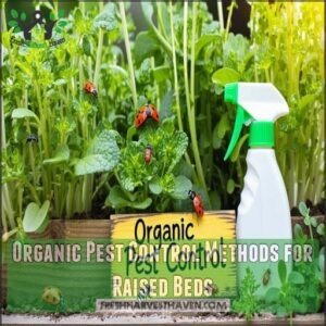 Organic Pest Control Methods for Raised Beds