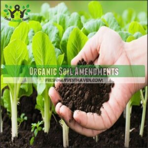 Organic Soil Amendments