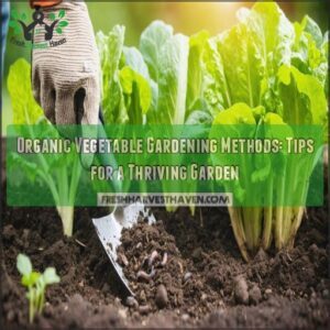 organic vegetable gardening methods