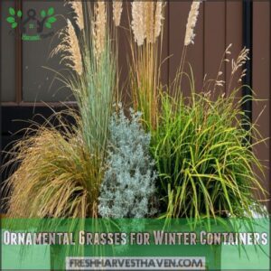 Ornamental Grasses for Winter Containers