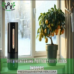 Overwintering Potted Fruit Trees Indoors