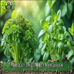 Parsley and Sweet Marjoram