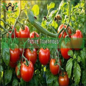 Paste Tomatoes