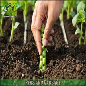 Peas and Cabbage