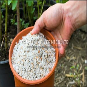 Perlite and Vermiculite