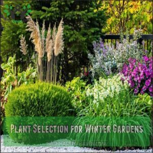 Plant Selection for Winter Gardens