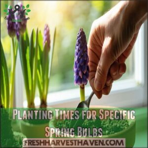 Planting Times for Specific Spring Bulbs