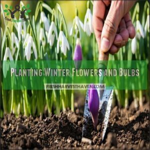 Planting Winter Flowers and Bulbs