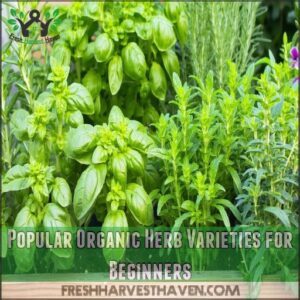 Popular Organic Herb Varieties for Beginners