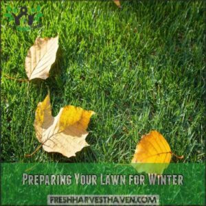 Preparing Your Lawn for Winter