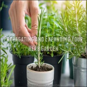 Propagating and Expanding Your Herb Garden