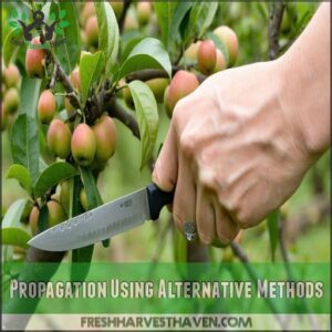 Propagation Using Alternative Methods