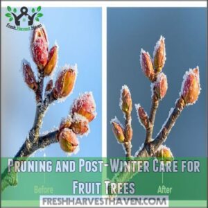 Pruning and Post-Winter Care for Fruit Trees