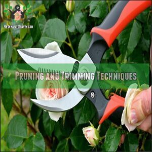 Pruning and Trimming Techniques