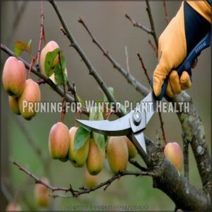 Pruning for Winter Plant Health