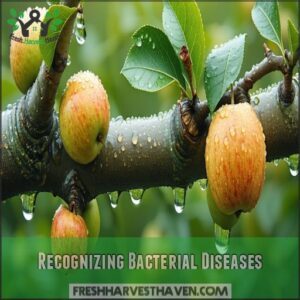 Recognizing Bacterial Diseases