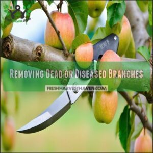 Removing Dead or Diseased Branches