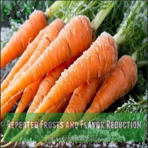 Repeated Frosts and Flavor Reduction