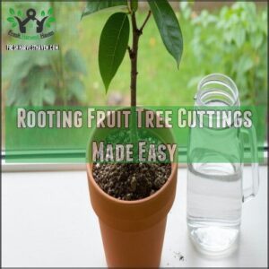 Rooting Fruit Tree Cuttings Made Easy