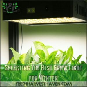 Selecting The Best Grow Light for Winter