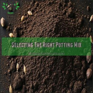 Selecting The Right Potting Mix