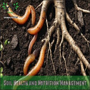 Soil Health and Nutrition Management