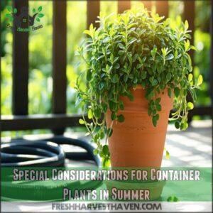 Special Considerations for Container Plants in Summer