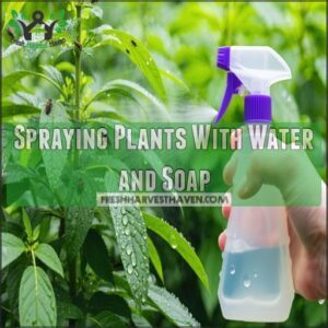 Spraying Plants With Water and Soap