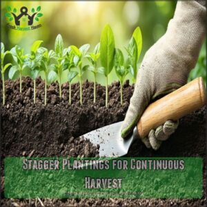 Stagger Plantings for Continuous Harvest