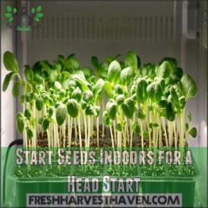 Start Seeds Indoors for a Head Start