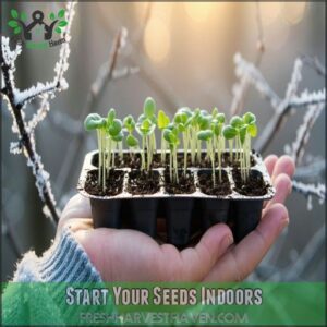 Start Your Seeds Indoors