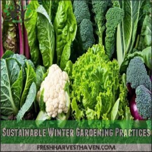 Sustainable Winter Gardening Practices