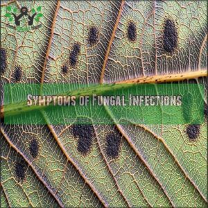 Symptoms of Fungal Infections