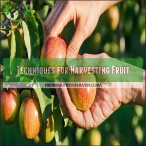 Techniques for Harvesting Fruit