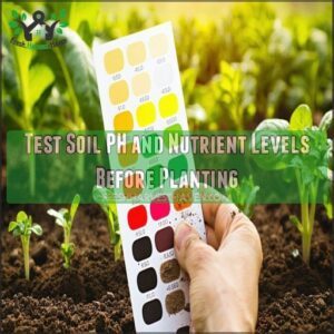 Test Soil PH and Nutrient Levels Before Planting