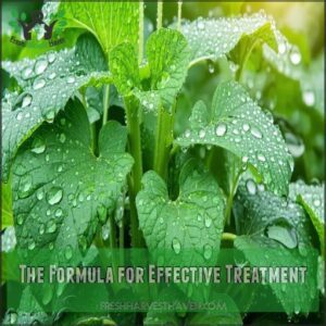 The Formula for Effective Treatment