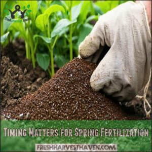 Timing Matters for Spring Fertilization