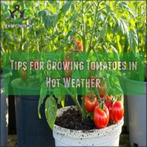 Tips for Growing Tomatoes in Hot Weather