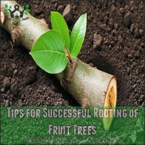 Tips for Successful Rooting of Fruit Trees