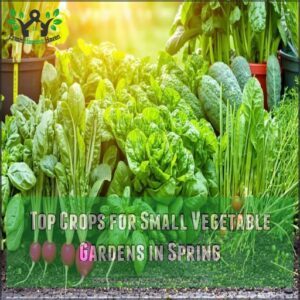 Top Crops for Small Vegetable Gardens in Spring