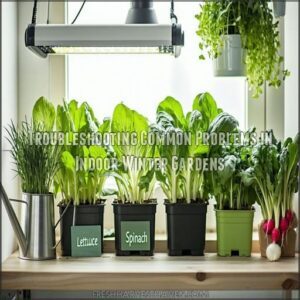 Troubleshooting Common Problems in Indoor Winter Gardens