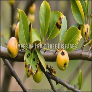 Types of Fruit Tree Diseases