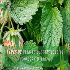 Types of Plants Susceptible to Powdery Mildew